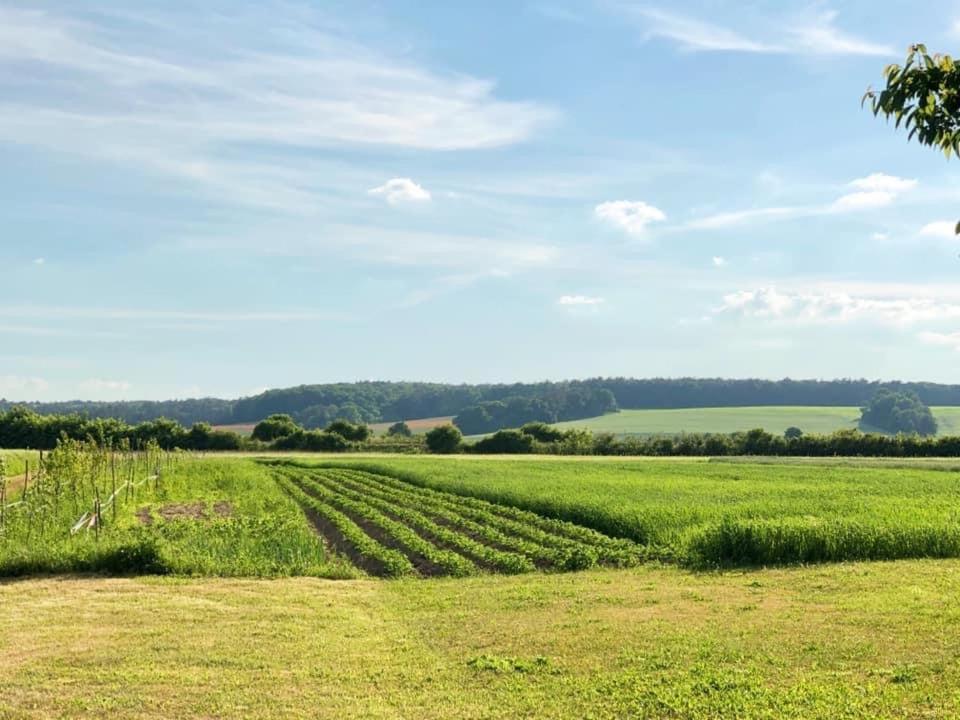 Agroturystyka „Nadbuzanski Swit” Wola Uhruska Luaran gambar